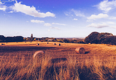 大地工程开发集团