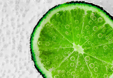 草木丰茂林业发展有限公司